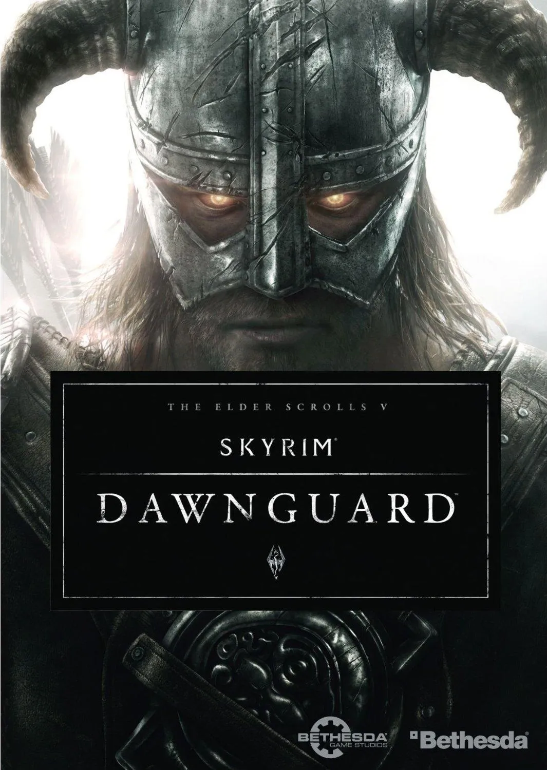 The Elder Scrolls Skyrim Dawnguard.webp